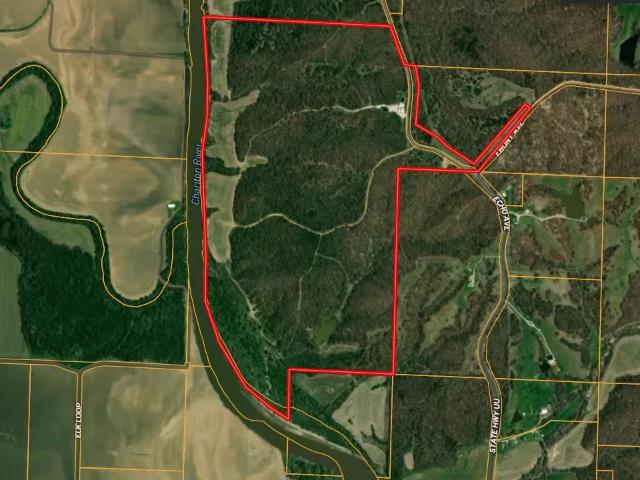 Commercial for sale in Callao, Missouri