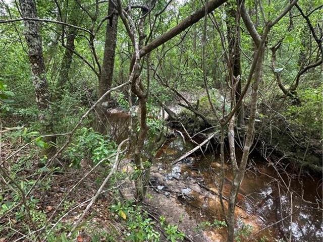 Land for sale in Abita Springs, Louisiana
