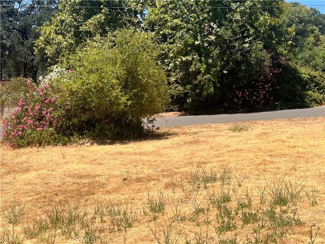 Land for sale in Lake, California