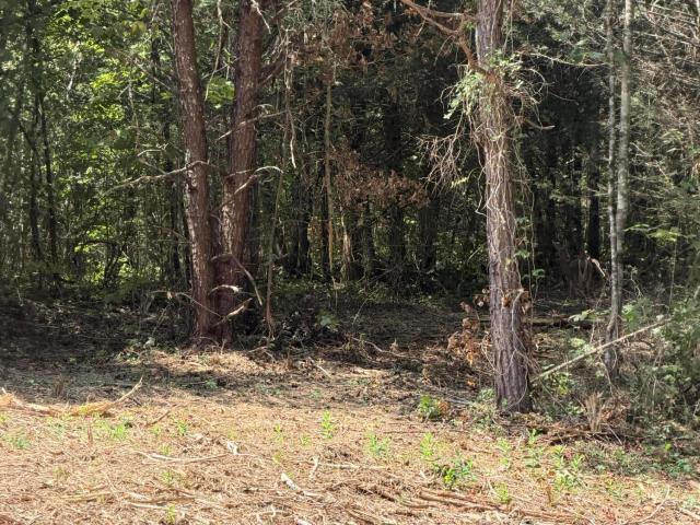Land for sale in Tennessee