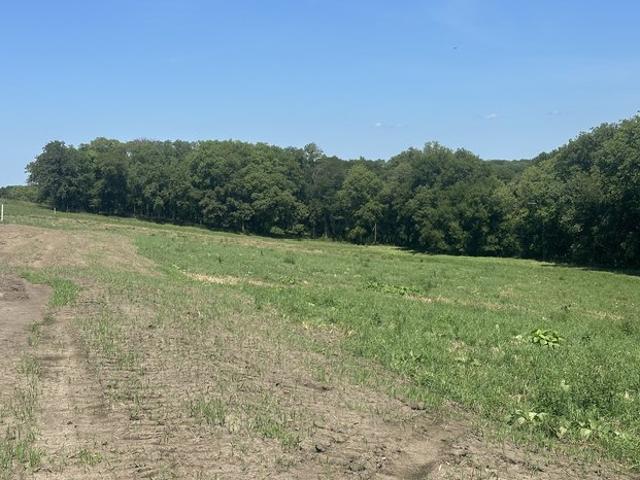 Land for sale in Glenwood, Iowa