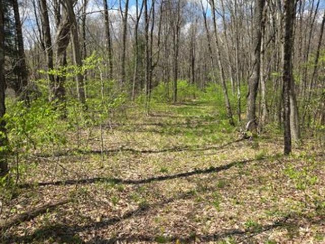 Land for sale in Quinwood, West Virginia
