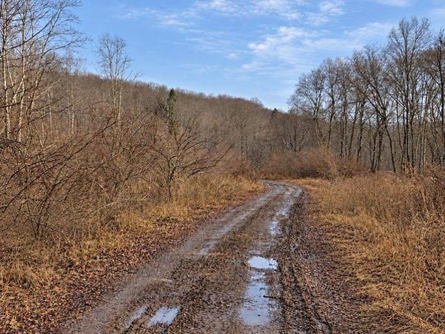 Land for sale in Quinwood, Greenbrier County