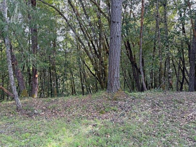 Land for sale in Willits, California