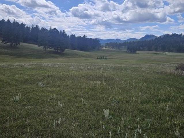 Land for sale in Custer, South Dakota