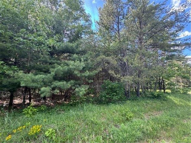 Land for sale in Grantsburg, Wisconsin