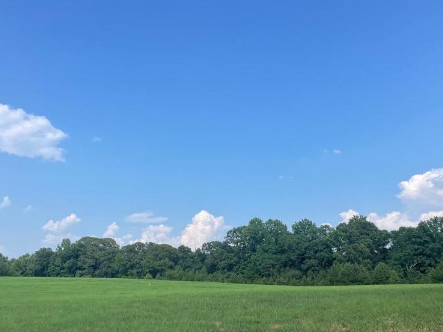 Land for sale in Oxford, Georgia