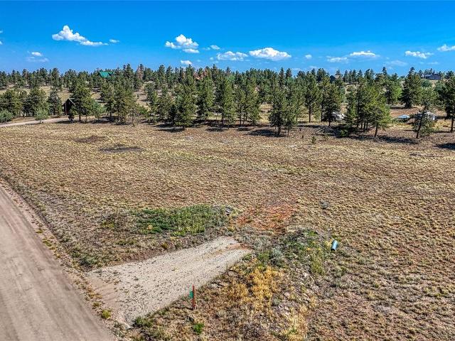 Land for sale in Hartsel, Park County