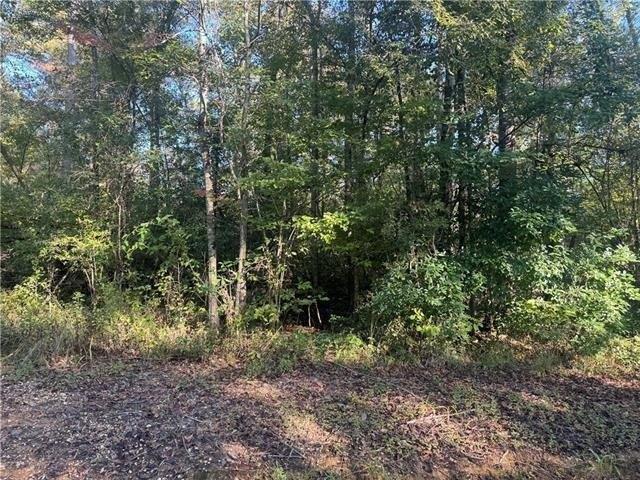 Land for sale in Amite City, Tangipahoa Parish