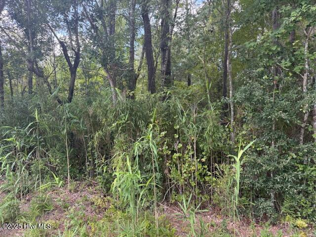 Land for sale in Hallsboro, North Carolina