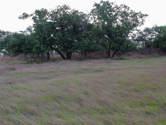 Land for sale in Kerr, Texas