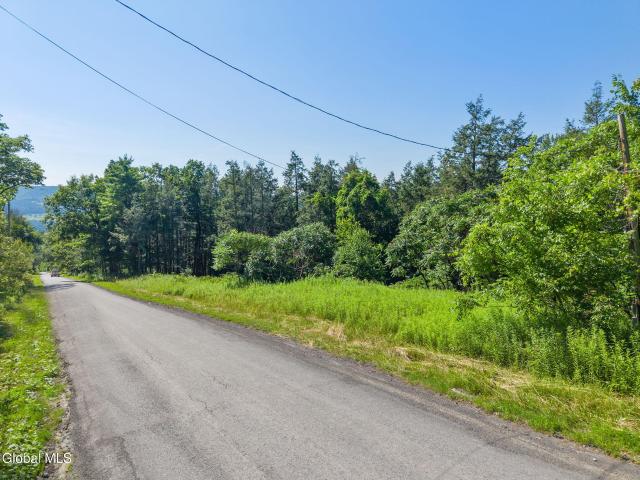 Land for sale in Middleburgh, New York