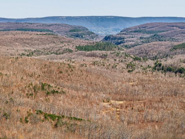 Land for sale in Tennessee