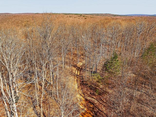 Land for sale in Tennessee