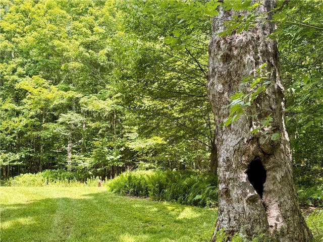 Land for sale in Andes, New York