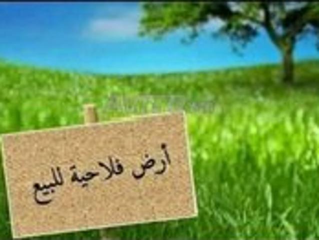 Propriété vente à Meknès