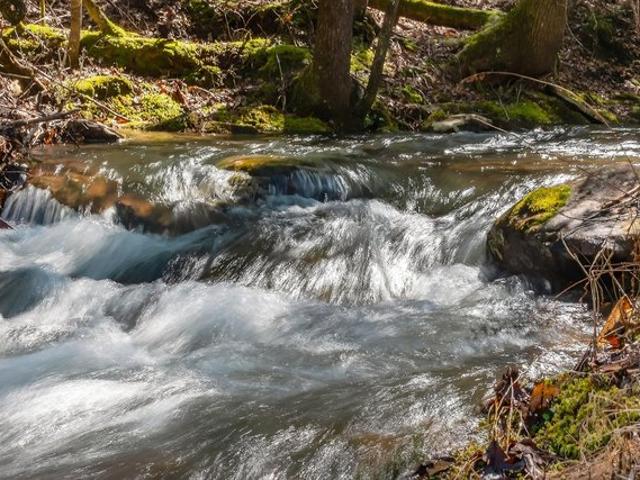 Land for sale in Tennessee