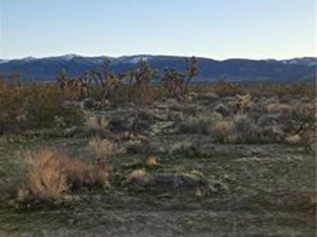 Land for sale in Littlerock, California
