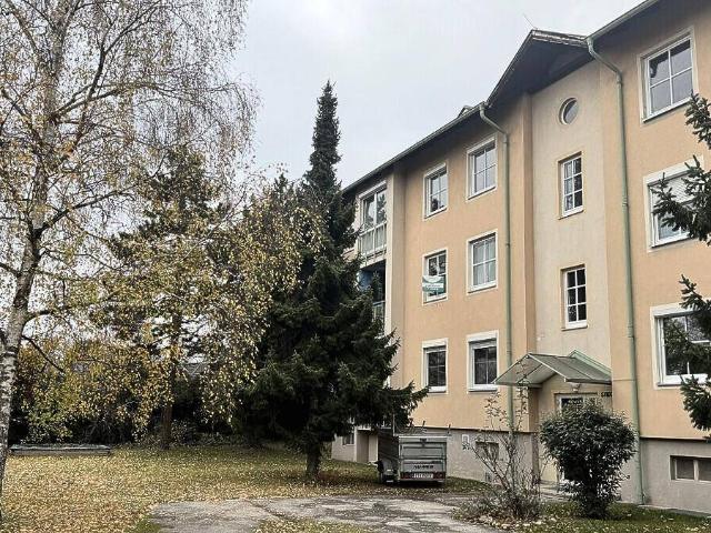 Apartment kaufen in Bad Vöslau, Niederösterreich