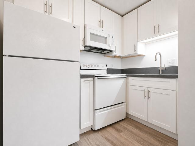 Apartment for rent in Elmwood, Berkeley