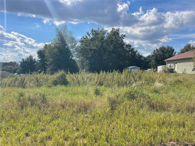 Land for sale in Astatula, Lake County