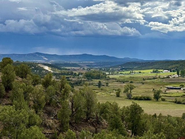 Land for sale in La Plata, Colorado