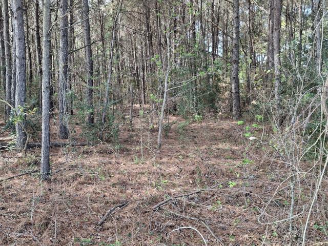 Land for sale in Magnolia, Texas