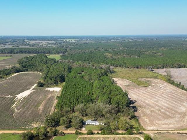 Land for sale in Pitts, Wilcox County