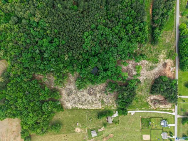 Land for sale in Elkmont, Alabama