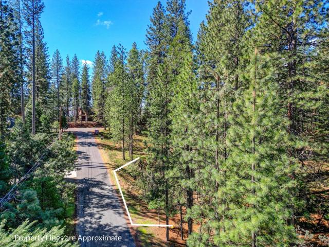 Property for sale in Arnold, California