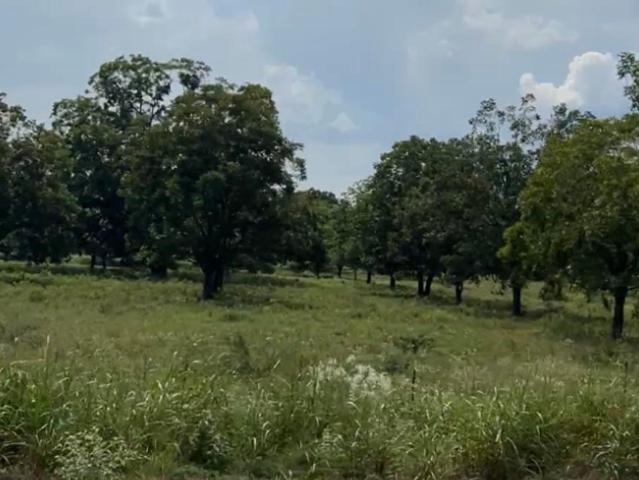 Land for sale in Midway, Texas