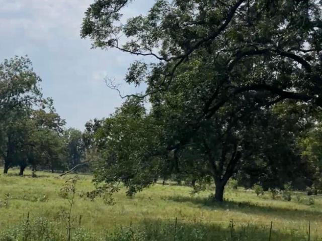 Land for sale in Midway, Texas