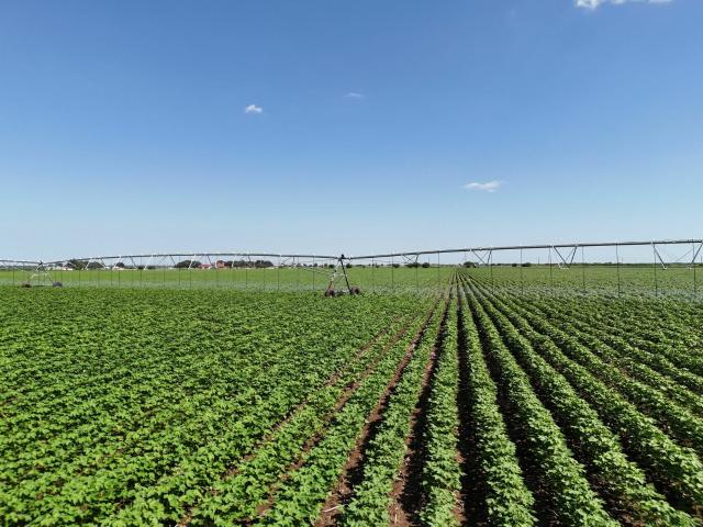 Ranch for sale in Knippa