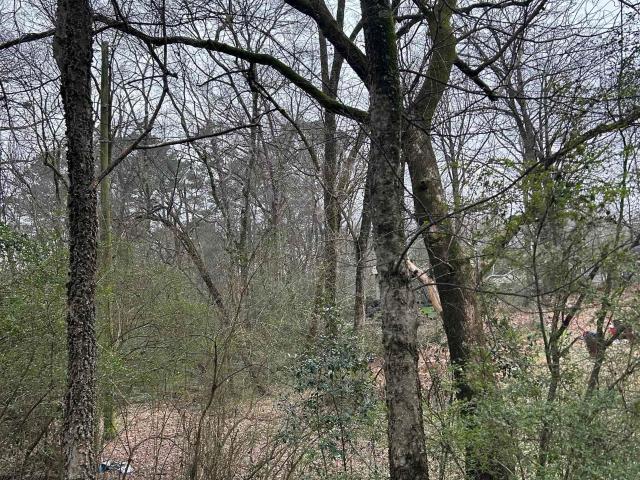 Land for sale in Gardendale, Alabama