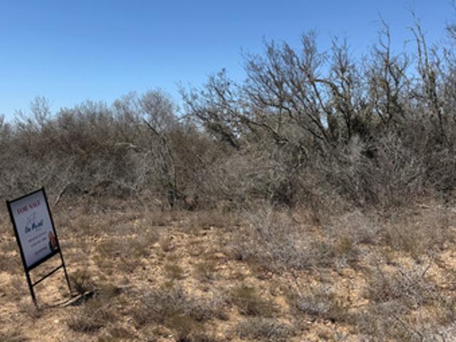 Land for sale in Moore, Texas