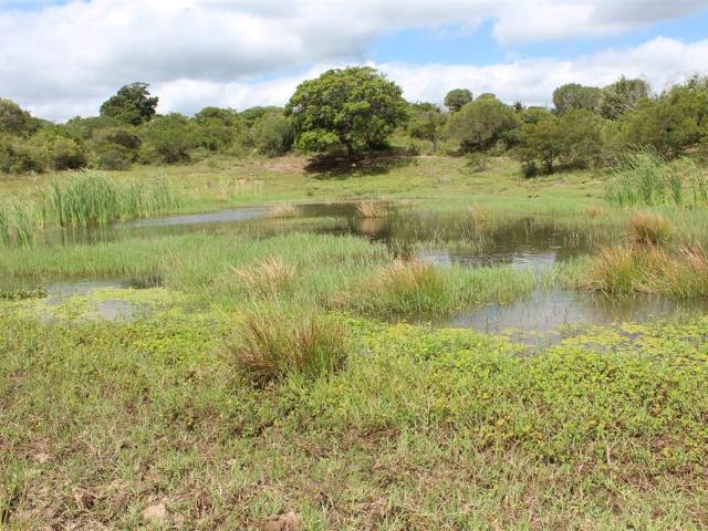Farm for sale in Bushmans River Mouth, Eastern Cape