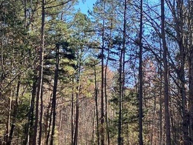 Land for sale in Fredericktown, Missouri