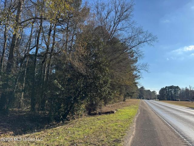 Land for sale in Tylertown, Mississippi