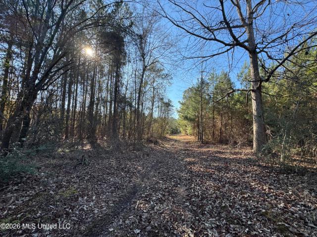 Land for sale in Tylertown, Mississippi