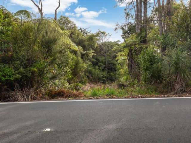 Land for sale in Piha