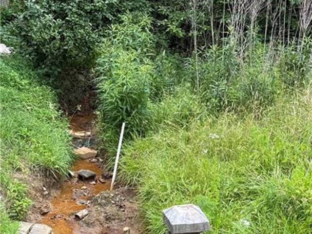 House for sale in Pilot Mountain, North Carolina