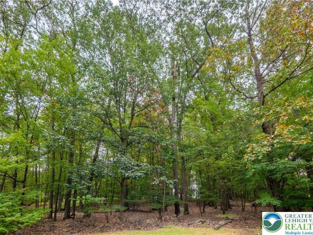 Land for sale in Lehigh, Pennsylvania