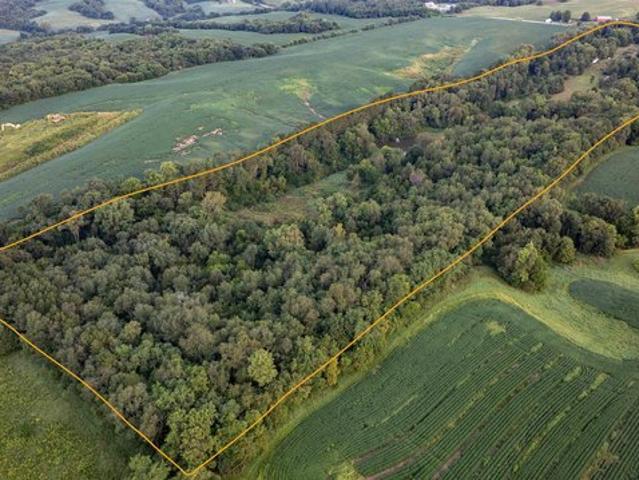 Land for sale in Viola, Mercer County