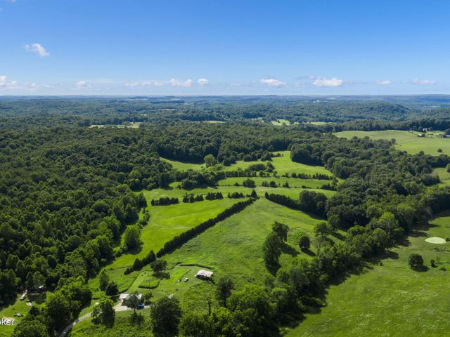 Land for sale in Caneyville, Kentucky