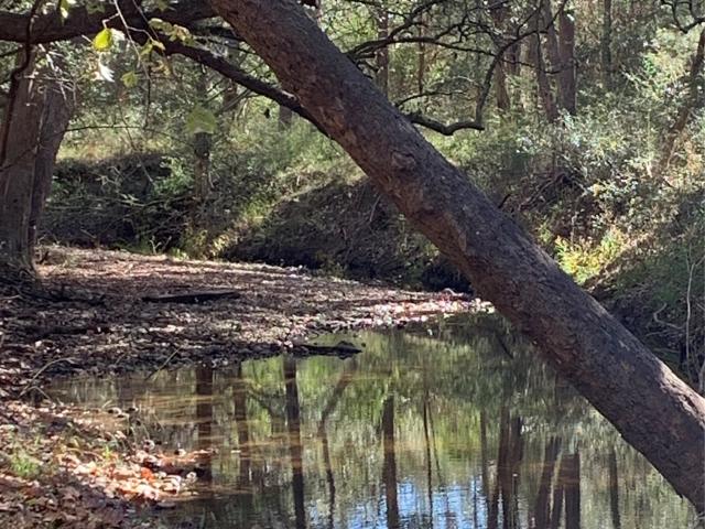 Land for sale in Fayetteville, Texas
