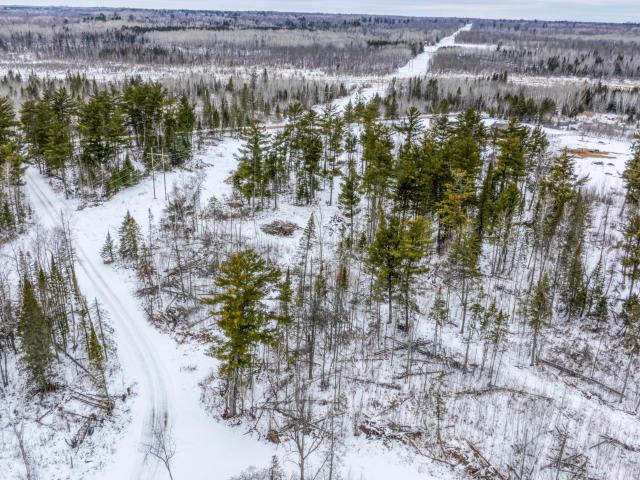 Land for sale in Hubbard, Minnesota