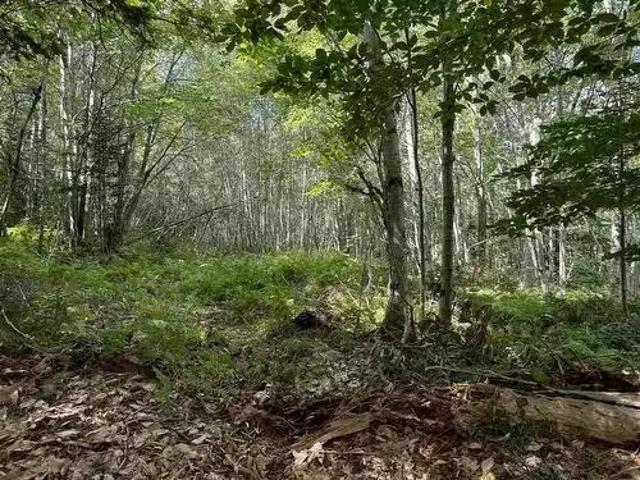 House for sale in Carleton Corner, Nova Scotia