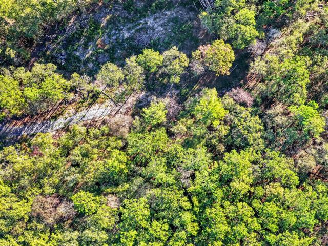 Land for sale in Macedonia, Bonneau