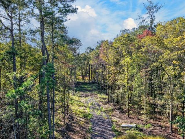 Land for sale in Bonneau, Berkeley County
