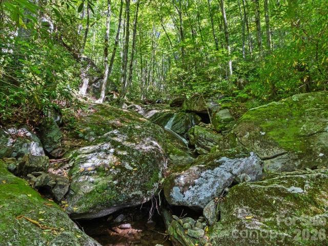 House for sale in Burnsville, Yancey County